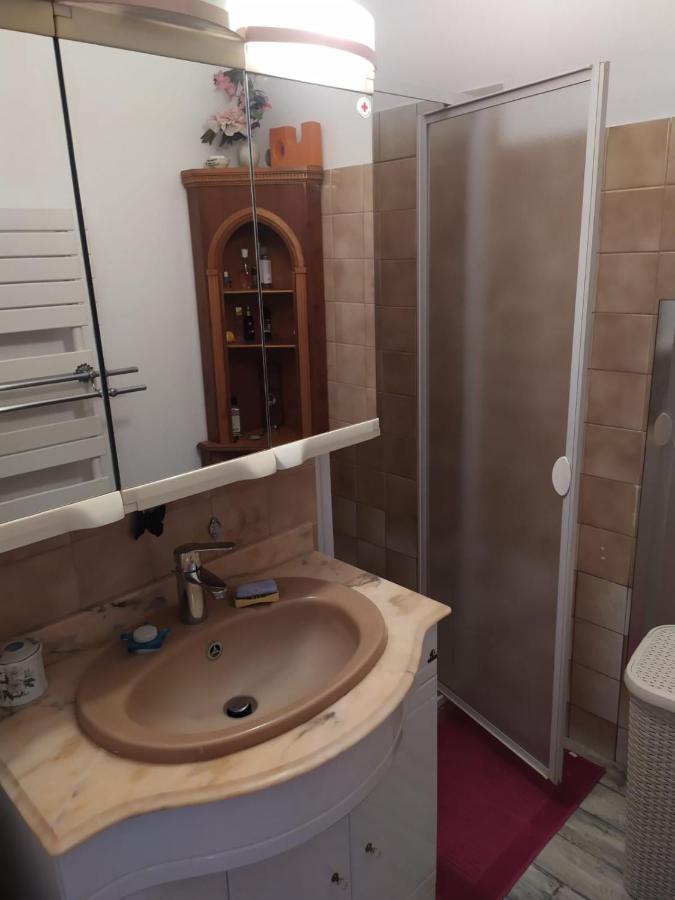Maison 4 Chambres Avec Jardin Saint-Jean-dʼAngély エクステリア 写真